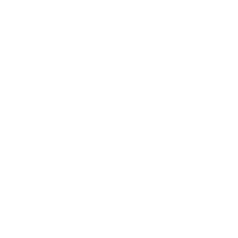 Goal icon 1