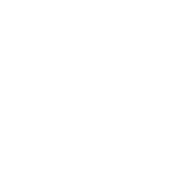 Goal icon 2
